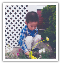 preschooler gardenting